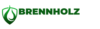 cropped-exlogow